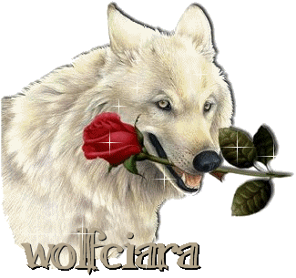 Wolf with Flower